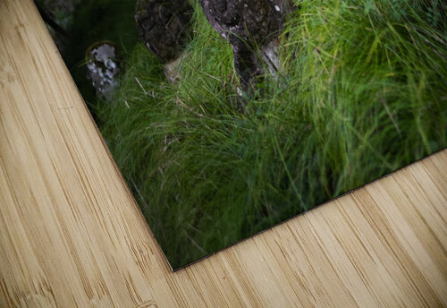 On the Hillside Studio 18 6 puzzle