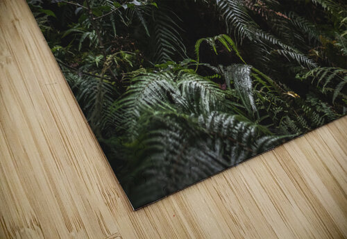 Forest Floor Studio 18 6 puzzle