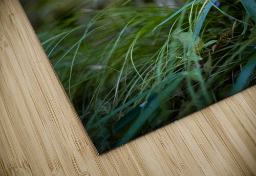Peaceful Purple Studio 18 6 puzzle