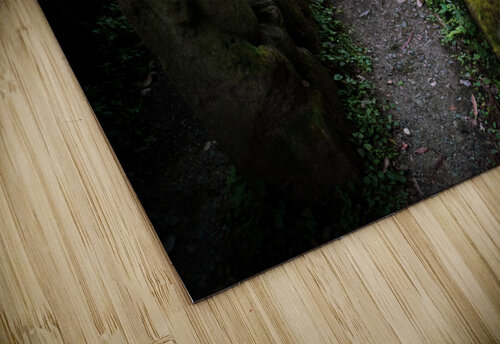 Rakan Studio 18 6 puzzle