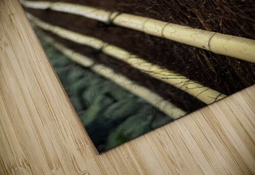 Thatch Fence Studio 18 6 puzzle