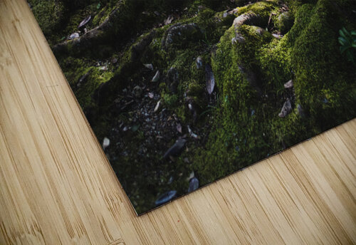 Rooted Studio 18 6 puzzle
