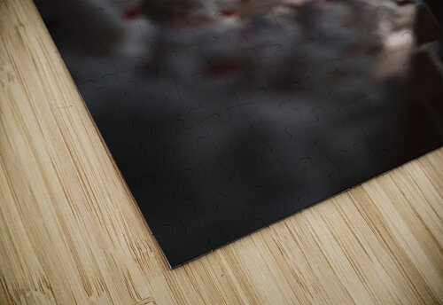 Beckoning the Light Studio 18 6 puzzle