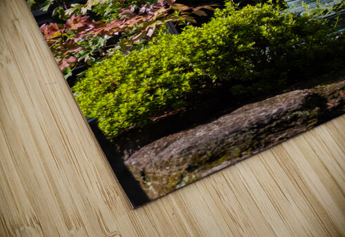 Lantern Studio 18 6 puzzle