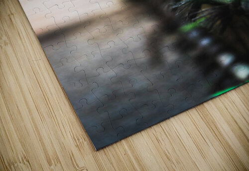 Fencing in Nature Studio 18 6 puzzle