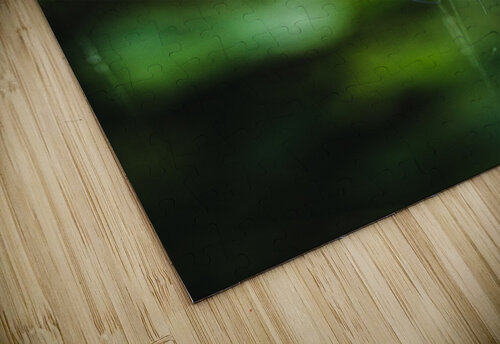Joro Studio 18 6 puzzle