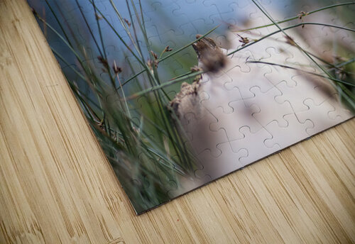 Lake View Studio 18 6 puzzle