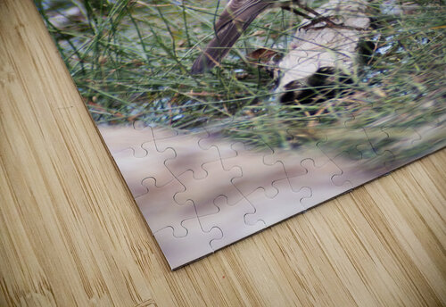On the Hunt Studio 18 6 puzzle