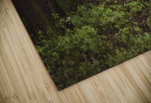 Hello Deer Studio 18 6 puzzle