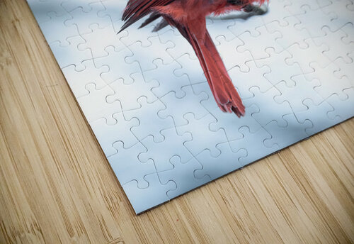 Wintering Cardinal  Studio 18 6 puzzle