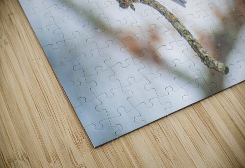 Tufted Titmouse Studio 18 6 puzzle