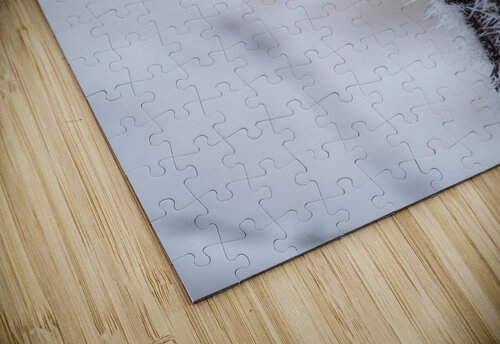 Barbed in Ice Studio 18 6 puzzle