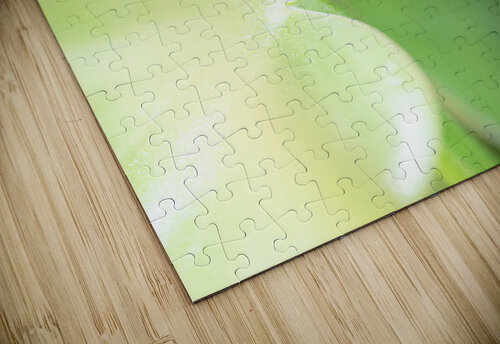 A Tiny Wave Studio 18 6 puzzle