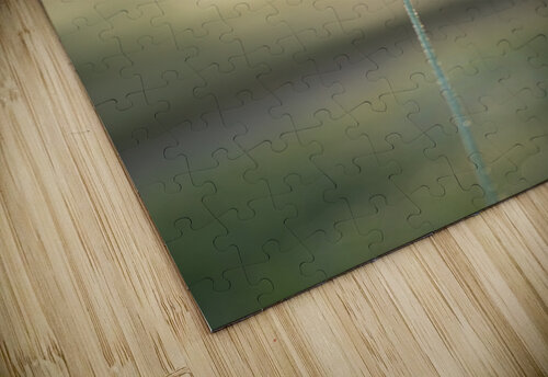 Queen Annes Sunshine Studio 18 6 puzzle
