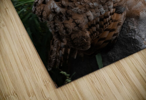 Horned Owl Studio 18 6 puzzle