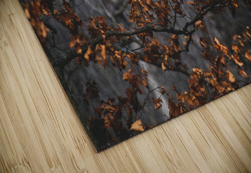 Fall Colors Studio 18 6 puzzle