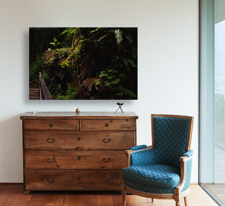 Forest Floor Reproduction