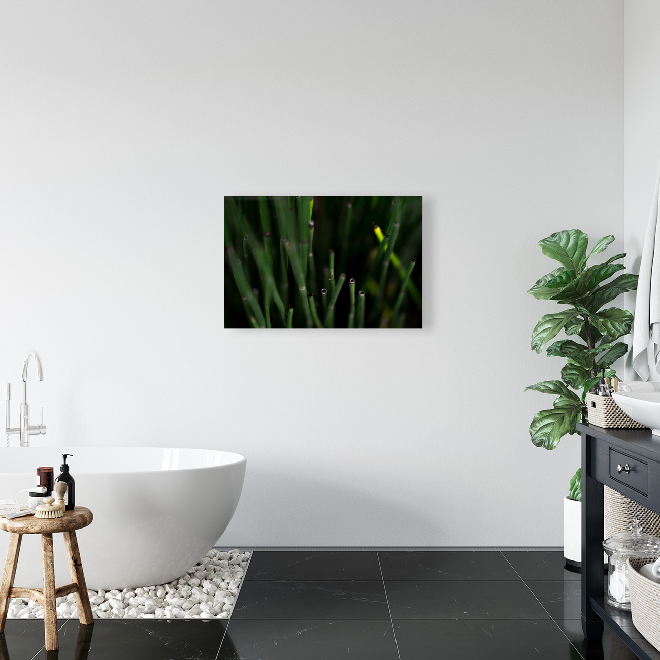 Horsetail Reproduction