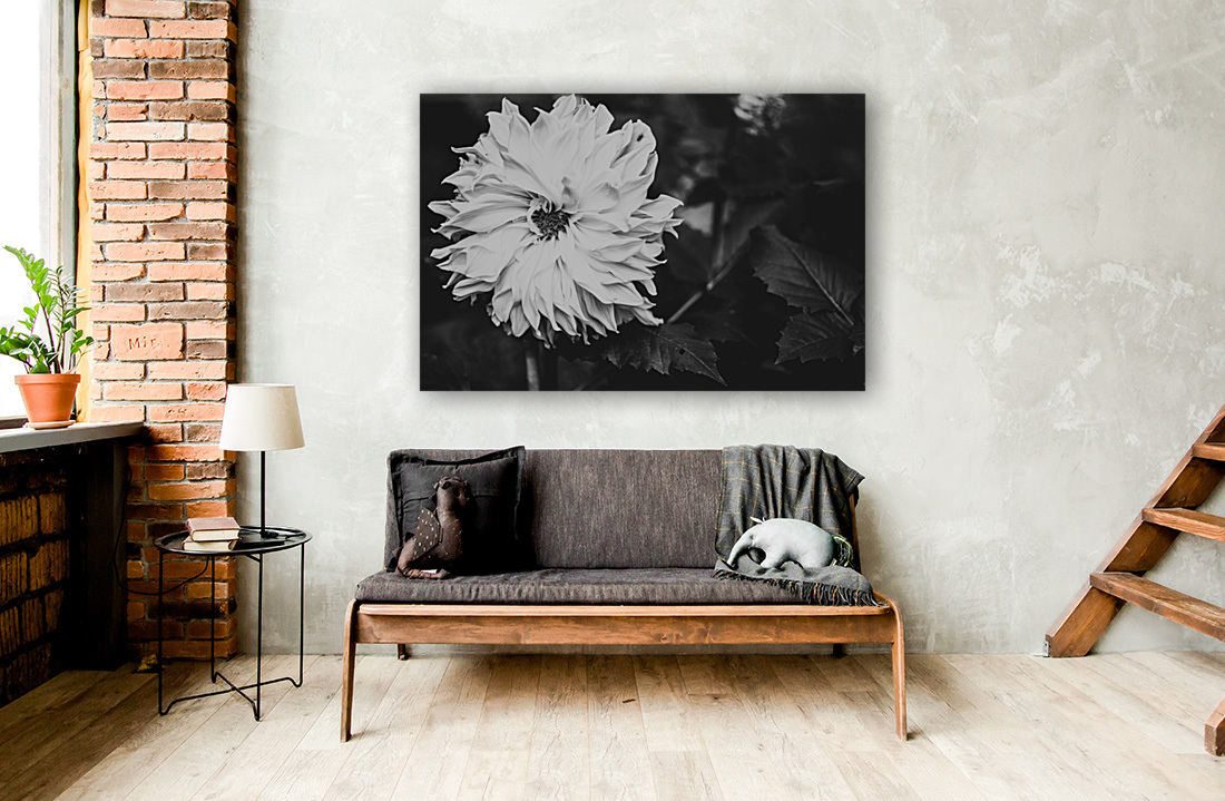 Monochromatic Petals Reproduction