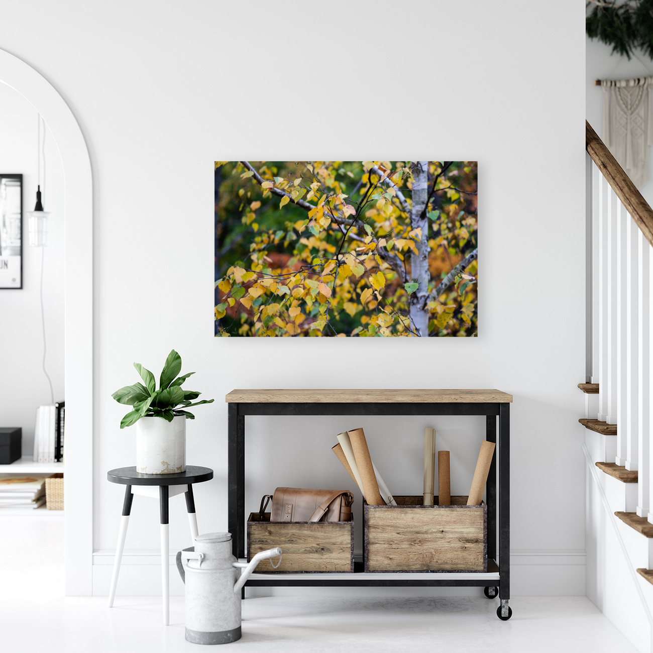 Fall Aspen Reproduction