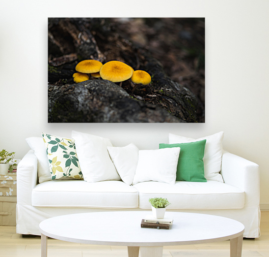 Yellow Delight Reproduction
