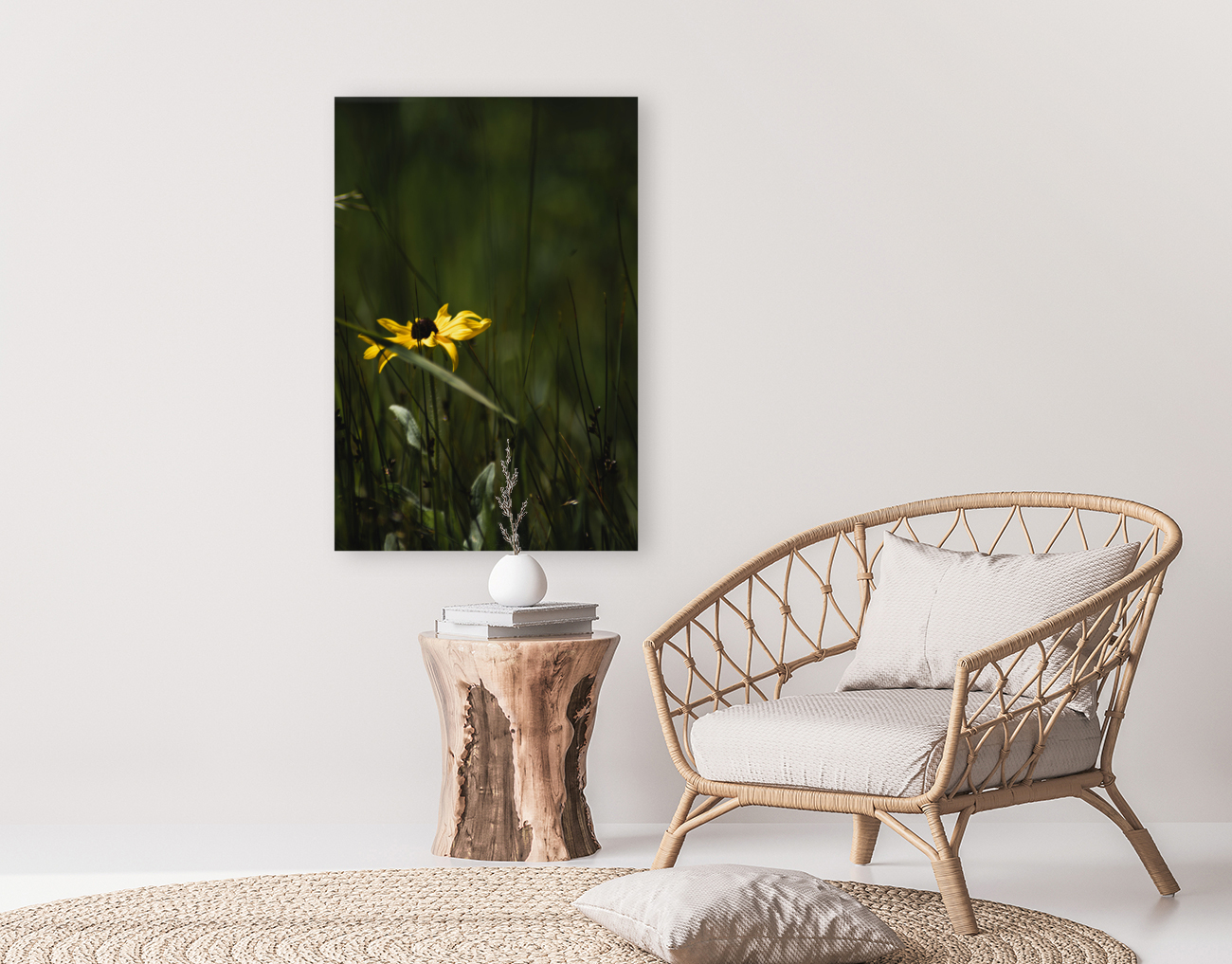 Rudbeckia Reproduction
