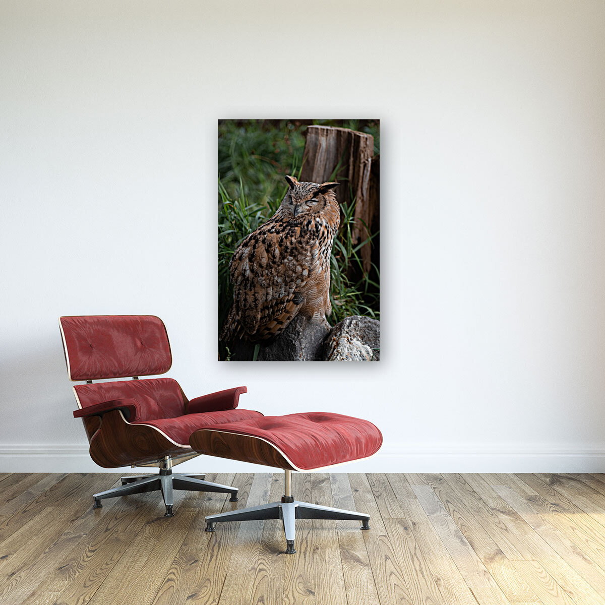 Horned Owl Reproduction