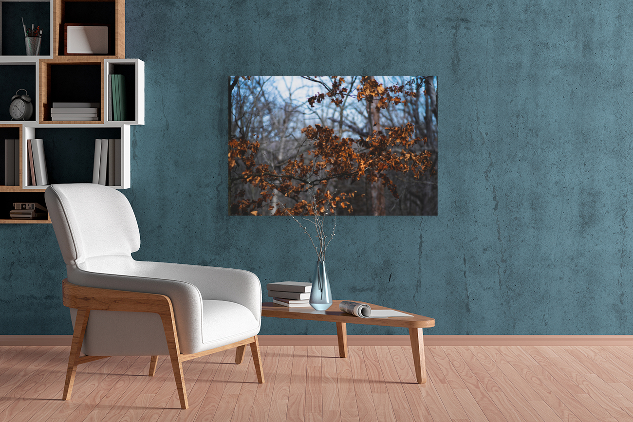 Fall Colors Reproduction