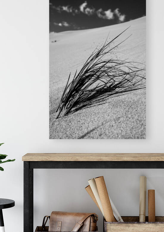 Resiliance by Studio 18 6