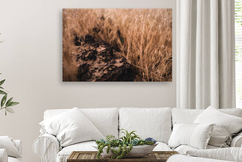 Natural Progression by Studio 18 6