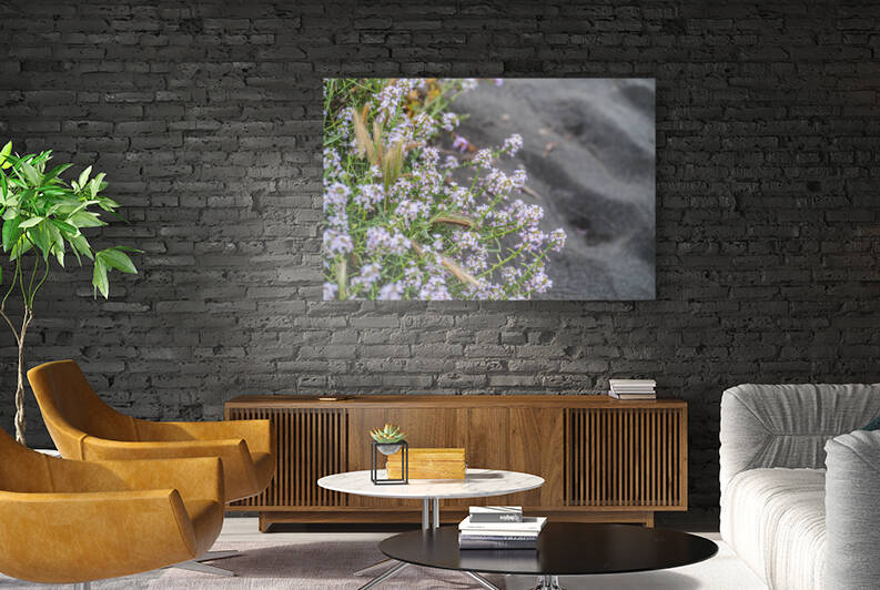 Pastel Beaches Reproduction