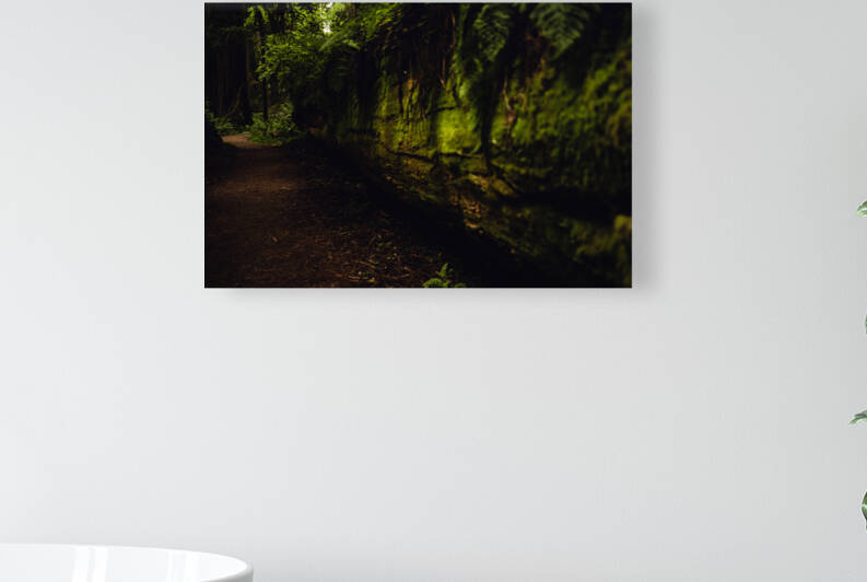 Tree Wall by Studio 18 6
