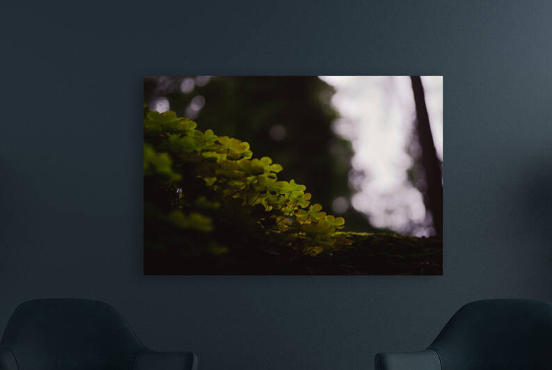 Light Up My Leaf by Studio 18 6