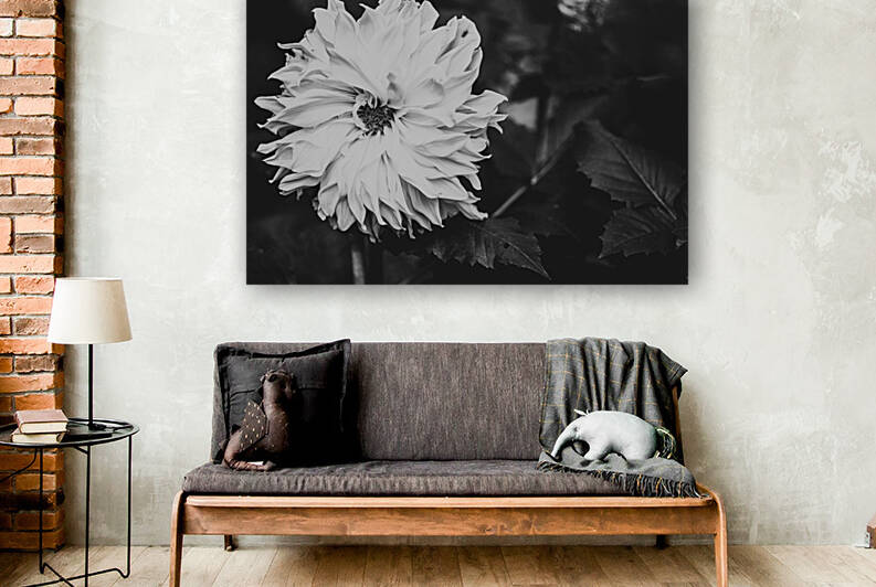 Monochromatic Petals Reproduction