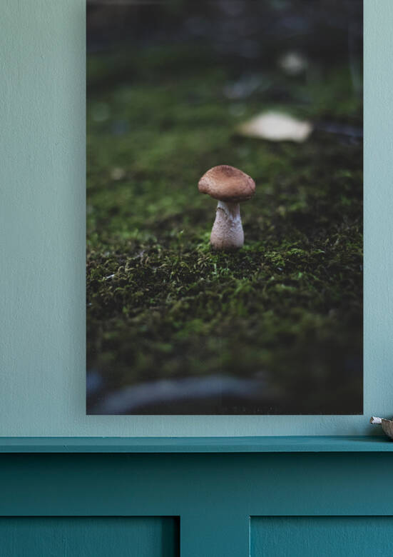 Singular in a Sea of Spores by Studio 18 6