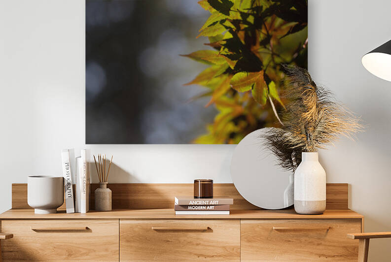 Maple Reproduction
