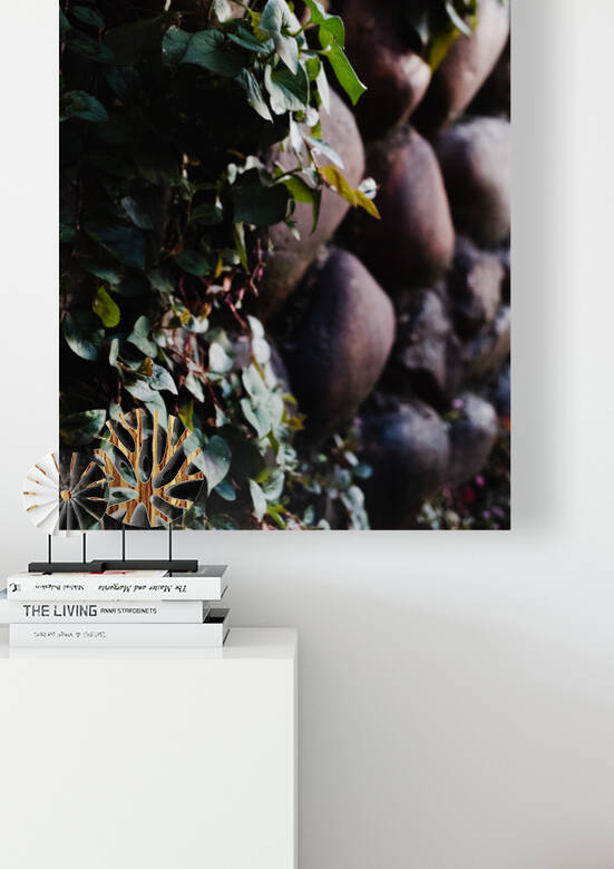 Finding the Crevices  by Studio 18 6