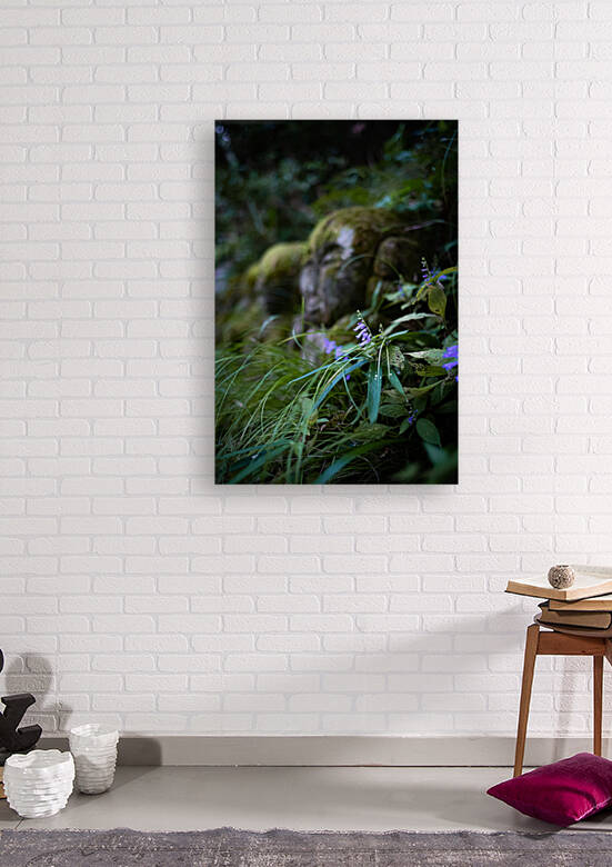 Peaceful Purple Reproduction