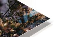 Above the Rapids HD Metal print