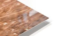 Natural Progression HD Metal print