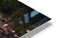 Along the Flume HD Metal print