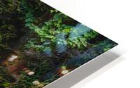 Natures Alcove HD Metal print