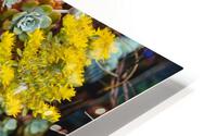 Two Tone HD Metal print