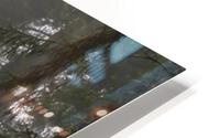 Misty HD Metal print