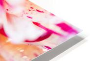 Into Arlequin HD Metal print