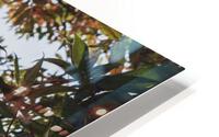 The Whispering Tree HD Metal print