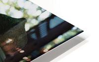 Maruyama HD Metal print