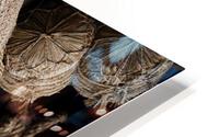 Jingu-Ji HD Metal print