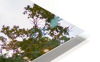 Timeless HD Metal print