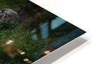 On the Hillside HD Metal print